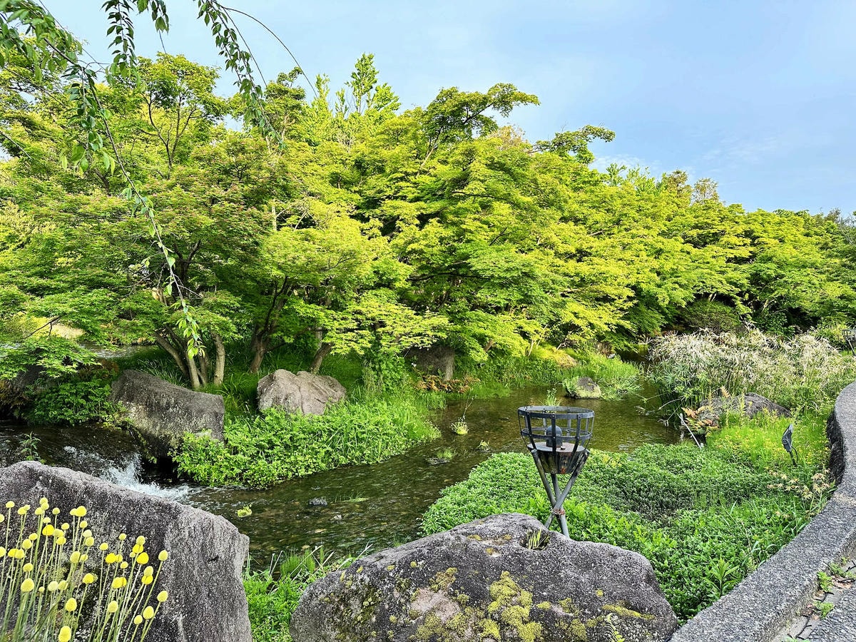 世界級美景,日本最大絢麗夢幻夜間燈光秀,結合花朵與燈飾的「名