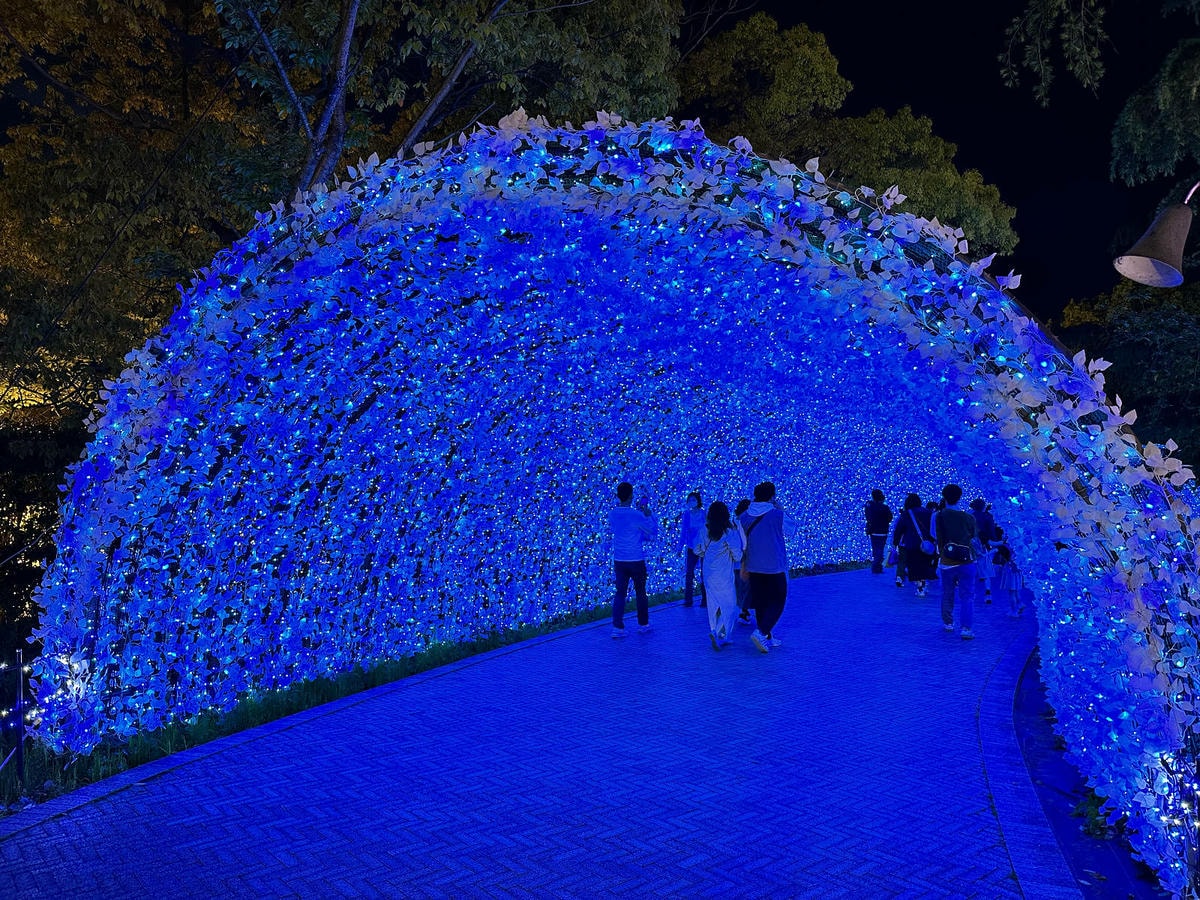 世界級美景,日本最大絢麗夢幻夜間燈光秀,結合花朵與燈飾的「名