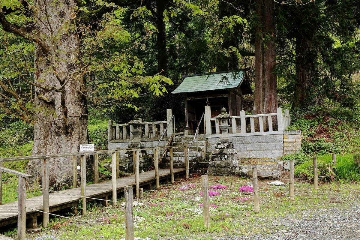 京都秘境-美山茅草屋之里｜美山合掌村，日本三大合掌村之一，被