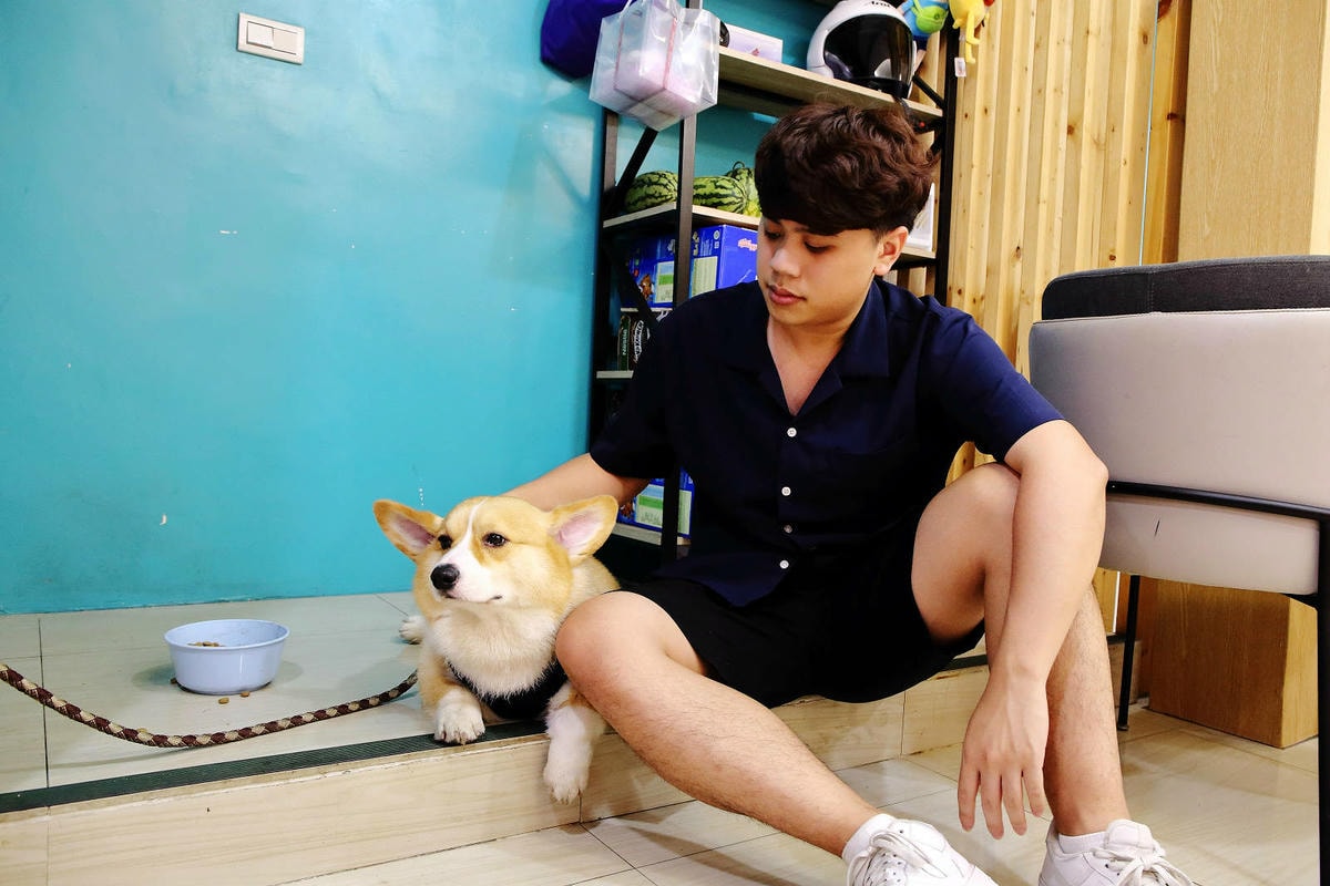 桃園冰店推薦!滿到不行的浮誇水果造型101塔,吸睛外觀與美味 桃園冰店推薦!盛夏冰菓室滿到不行的浮誇水果造型101塔,吸睛