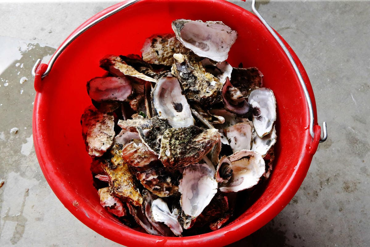 嘉義烤蚵吃到飽推薦!東石蚵王烤鮮蚵吃到飽,每人只要200元, 嘉義烤蚵吃到飽推薦!東石蚵王烤鮮蚵吃到飽,每人只要200元,