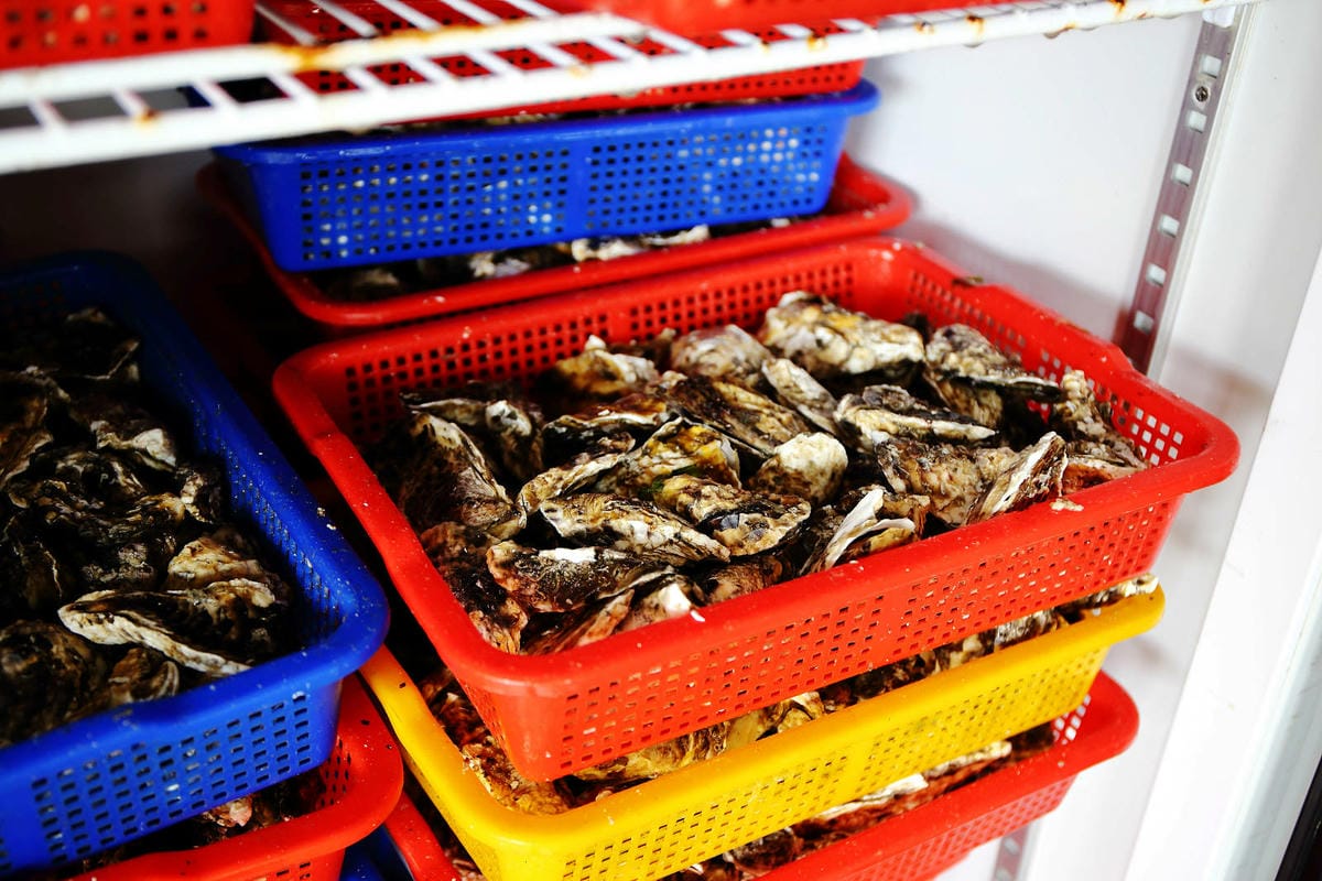 嘉義烤蚵吃到飽推薦!東石蚵王烤鮮蚵吃到飽,每人只要200元, 嘉義烤蚵吃到飽推薦!東石蚵王烤鮮蚵吃到飽,每人只要200元,