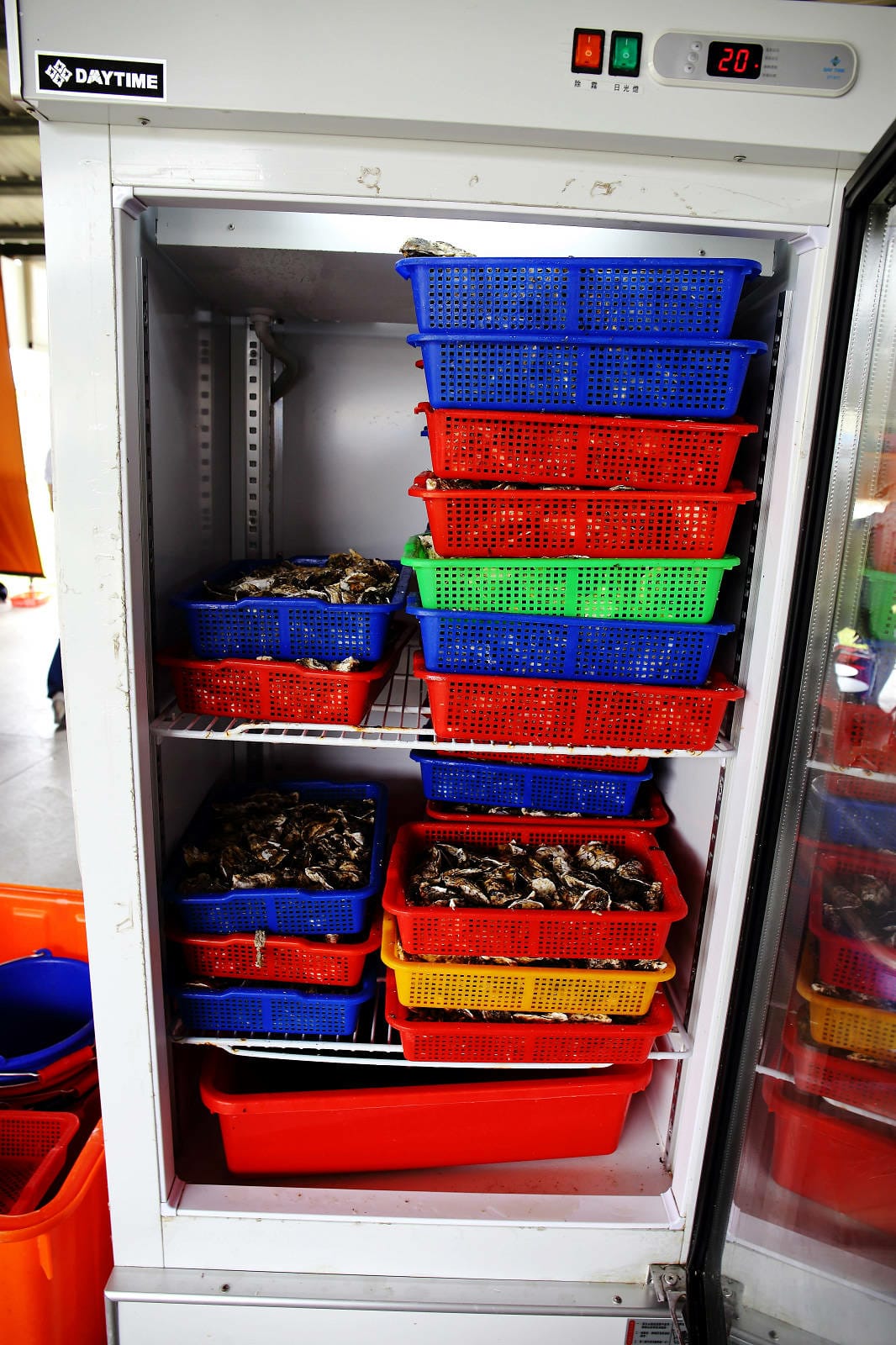 嘉義烤蚵吃到飽推薦!東石蚵王烤鮮蚵吃到飽,每人只要200元, 嘉義烤蚵吃到飽推薦!東石蚵王烤鮮蚵吃到飽,每人只要200元,