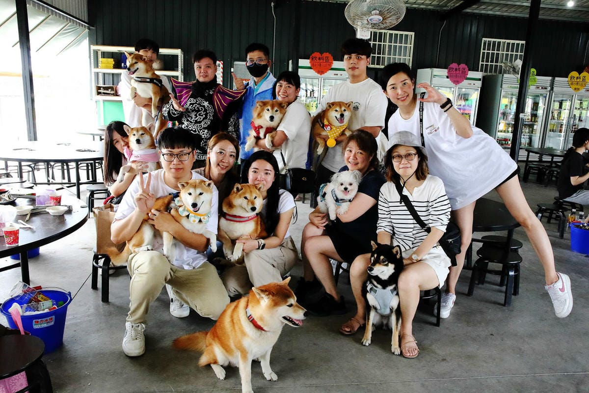 嘉義烤蚵吃到飽推薦!東石蚵王烤鮮蚵吃到飽,每人只要200元, 嘉義烤蚵吃到飽推薦!東石蚵王烤鮮蚵吃到飽,每人只要200元,