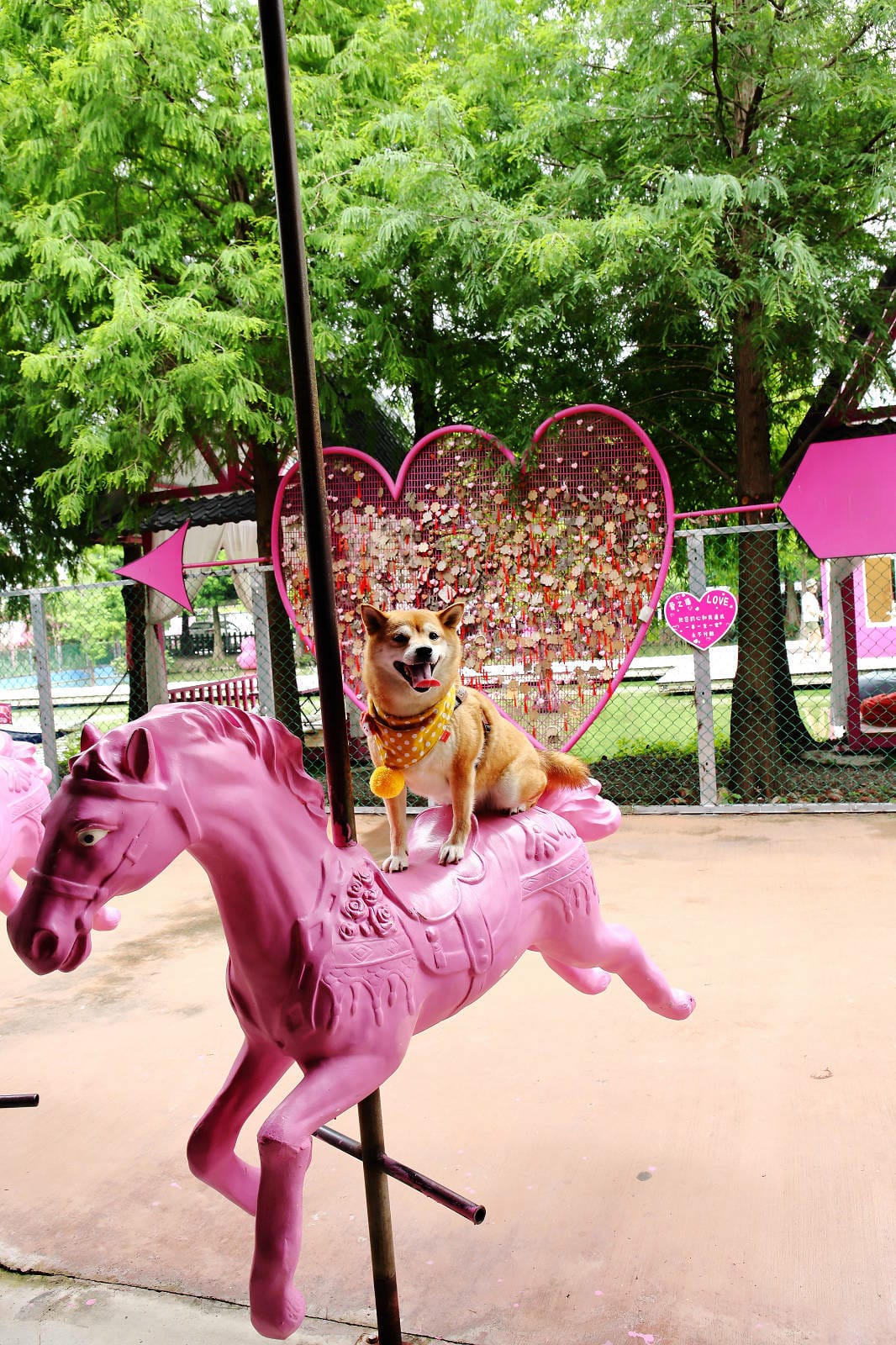 雲林古坑粉紅泡泡，雲林十大打卡聖地，雲林絕對不能錯過的景點，