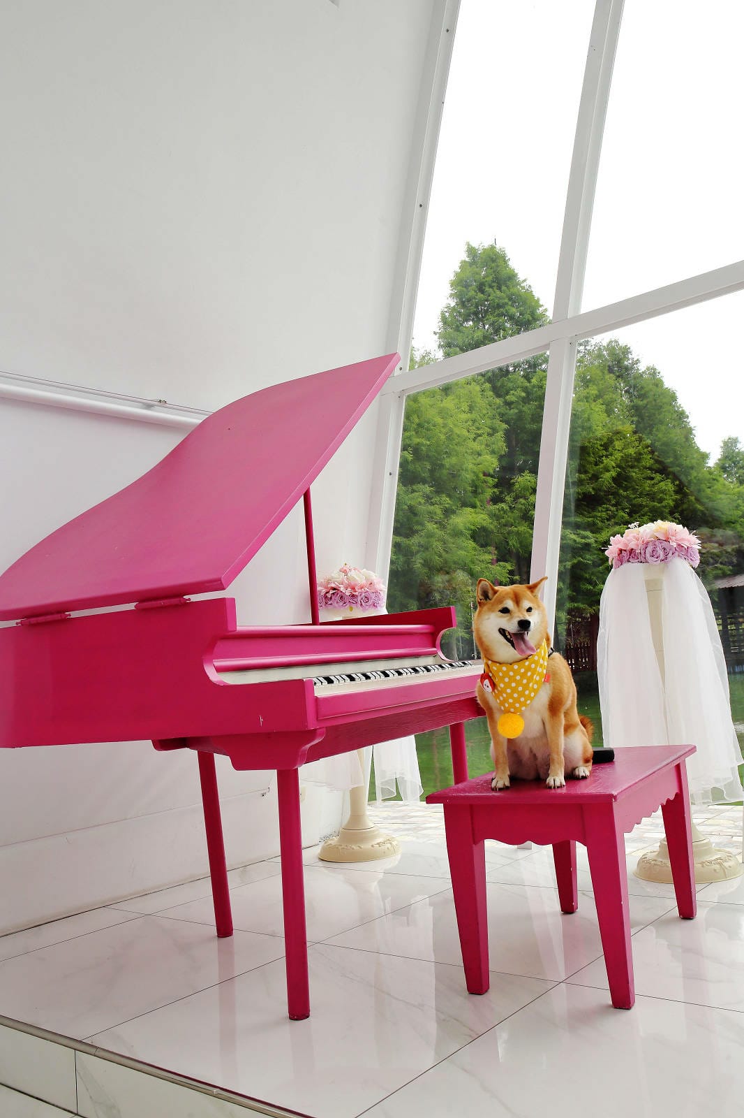 雲林古坑粉紅泡泡，雲林十大打卡聖地，雲林絕對不能錯過的景點，