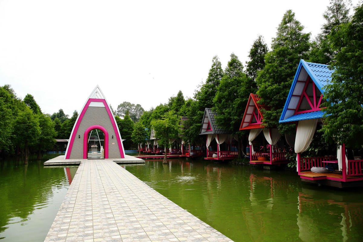 雲林古坑粉紅泡泡，雲林十大打卡聖地，雲林絕對不能錯過的景點，