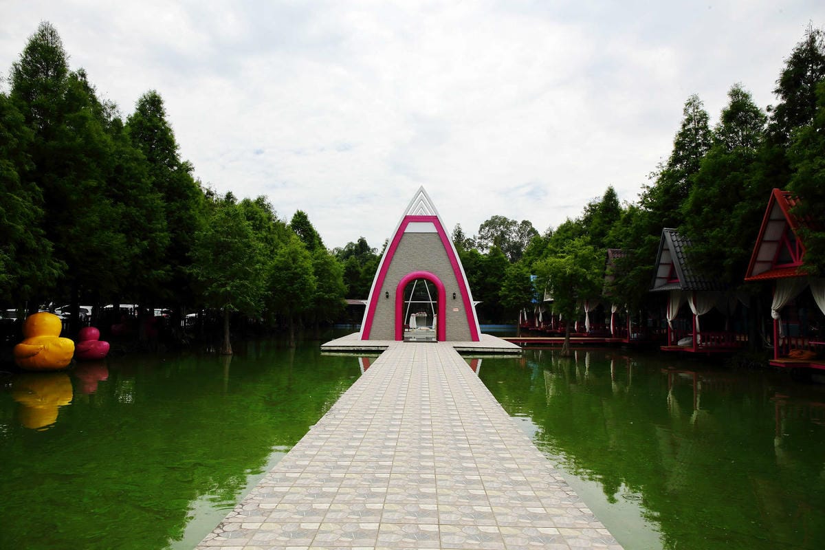 雲林古坑粉紅泡泡，雲林十大打卡聖地，雲林絕對不能錯過的景點，