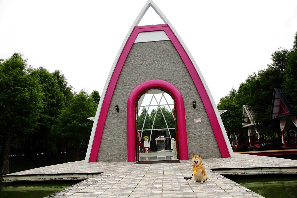 雲林古坑粉紅泡泡，雲林十大打卡聖地，雲林絕對不能錯過的景點，