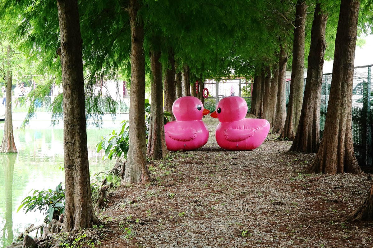 雲林古坑粉紅泡泡，雲林十大打卡聖地，雲林絕對不能錯過的景點，
