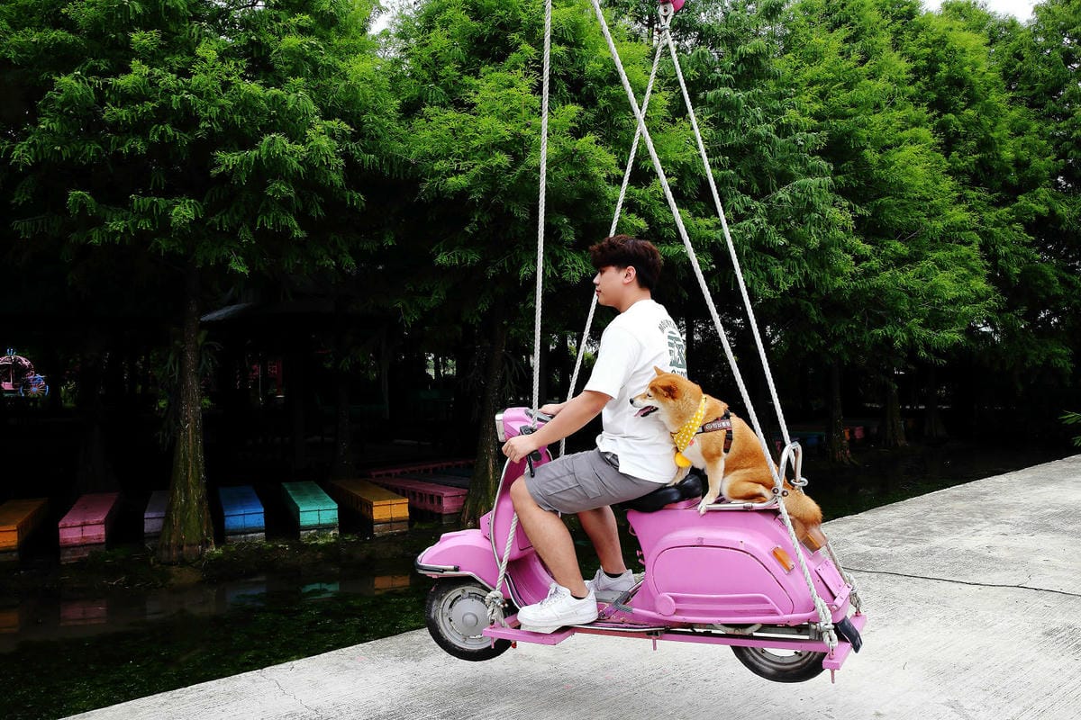 雲林古坑粉紅泡泡，雲林十大打卡聖地，雲林絕對不能錯過的景點，