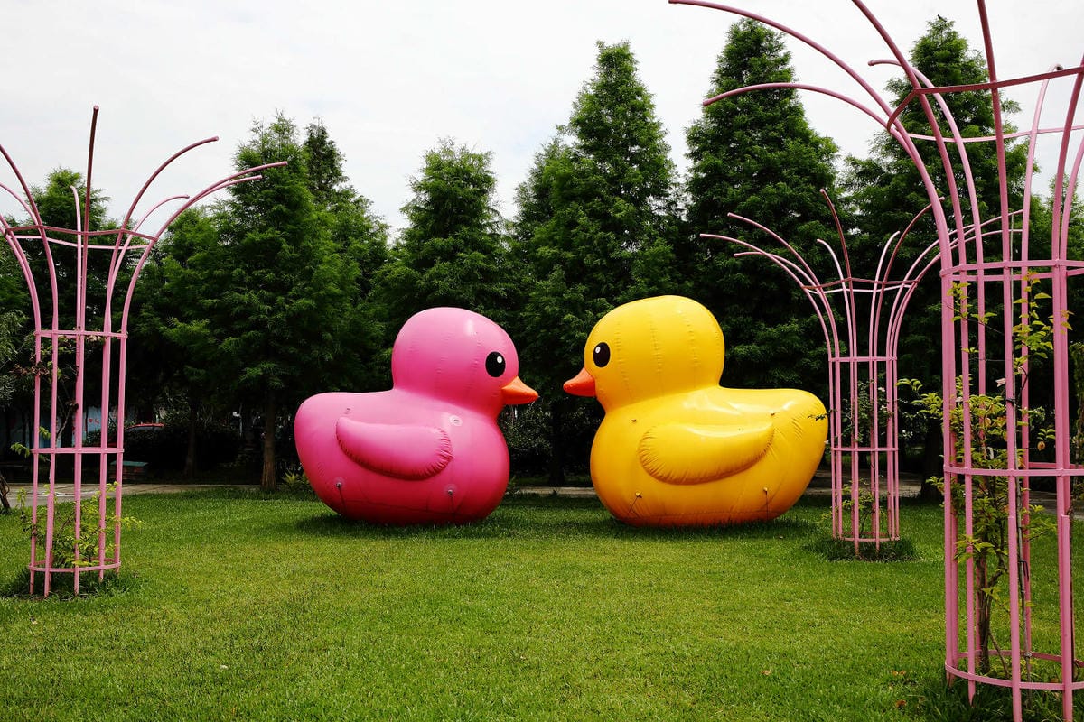 雲林古坑粉紅泡泡，雲林十大打卡聖地，雲林絕對不能錯過的景點，