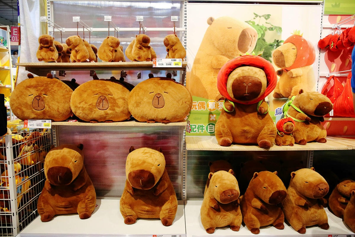 嘉義KHTOY絨毛玩偶旗艦館,正版授權絨毛玩偶專賣店,超過1