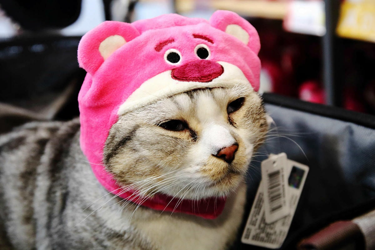 嘉義KHTOY絨毛玩偶旗艦館,正版授權絨毛玩偶專賣店,超過1