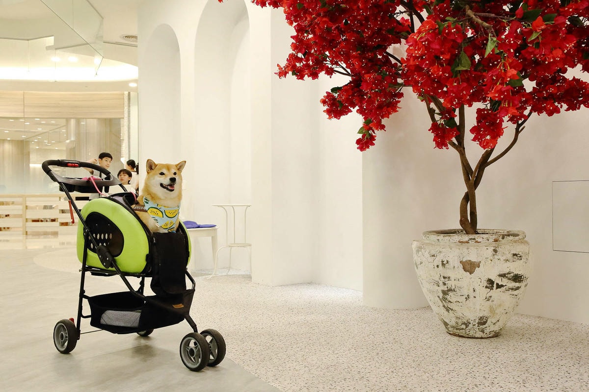 桃園暑假避暑勝地就來中壢大江購物中心!一站式滿足聚餐、購物、