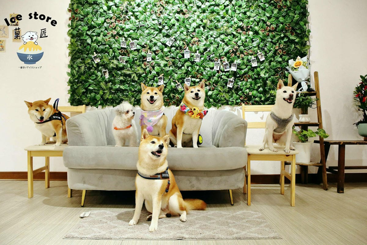 八德大湳商圈【菓匠icestore】文青風格日式刨冰，季節限