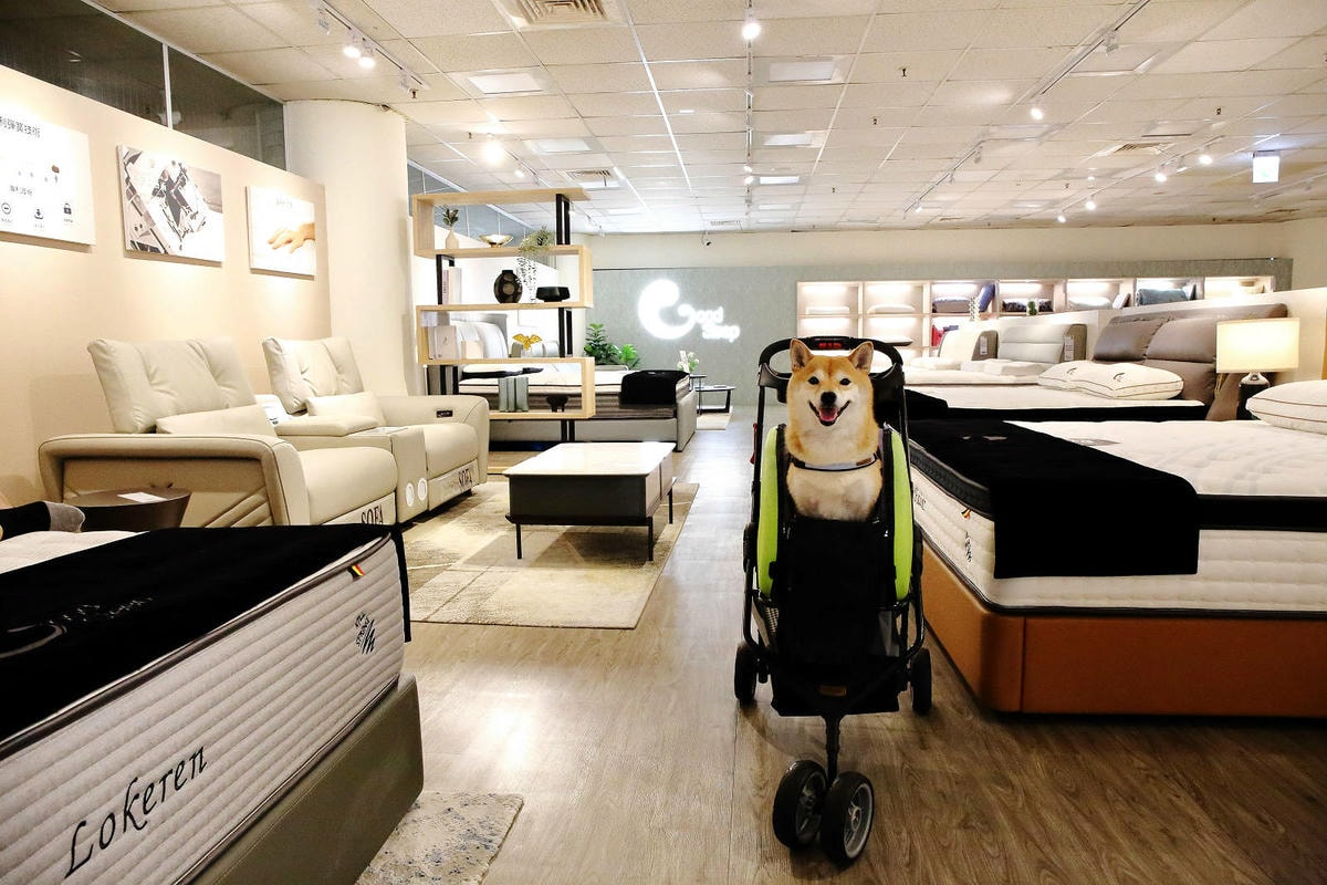 好睡王內湖旗艦店,全台最大、最多義式精品家具,義式經典沙發、 好睡王內湖旗艦店,全台最大、最多義式精品家具,義式經典沙發、