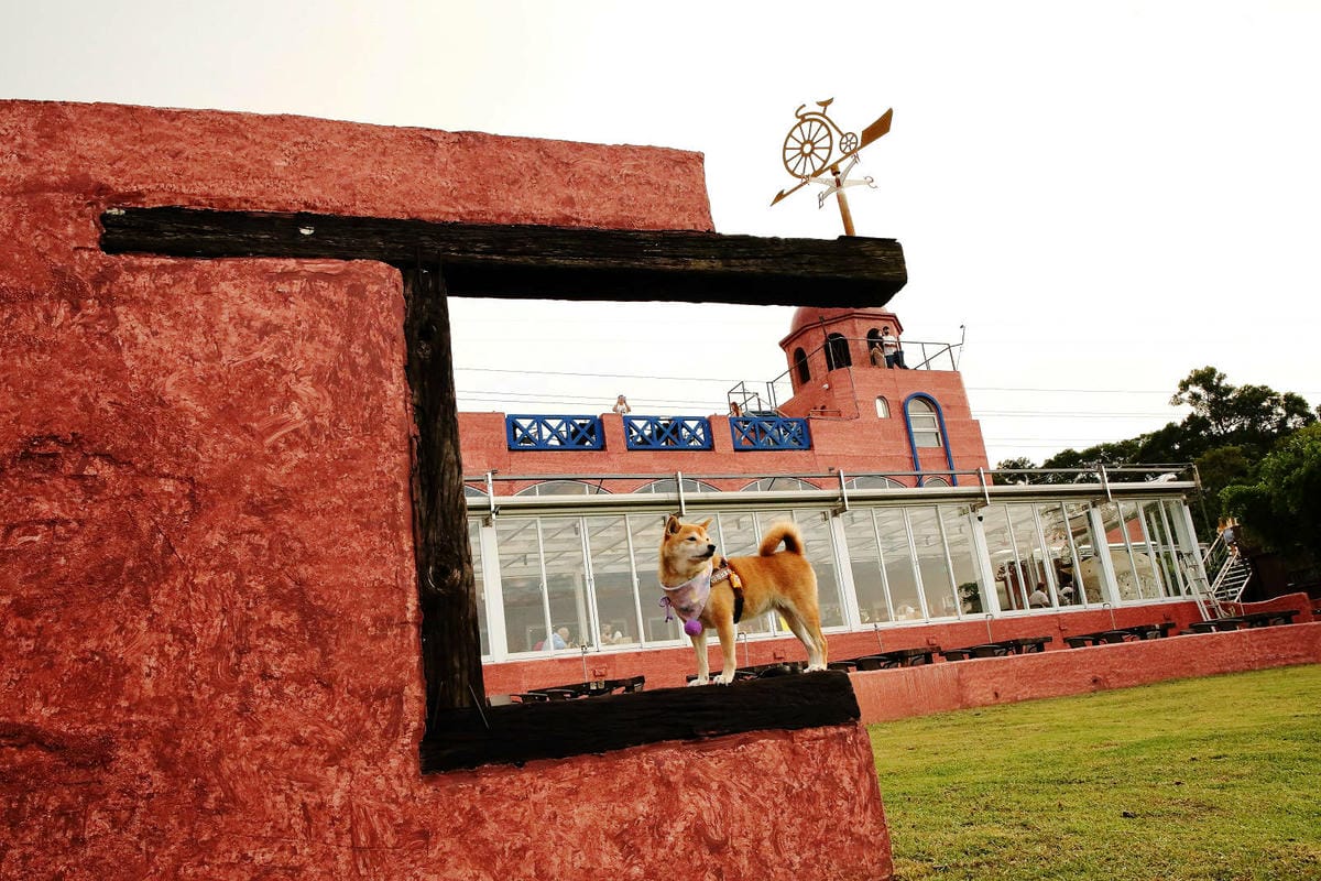 空ㄟ咖啡新竹店，湖口最新景觀餐廳，異國風百萬夜景、室外超大草