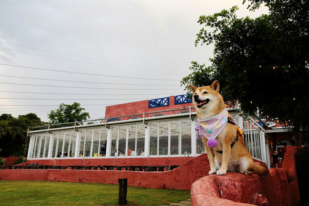 空ㄟ咖啡新竹店，湖口最新景觀餐廳，異國風百萬夜景、室外超大草
