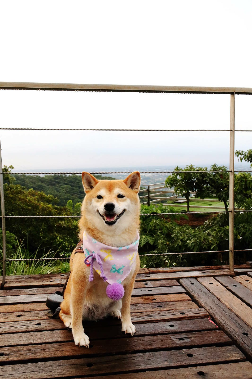 空ㄟ咖啡新竹店，湖口最新景觀餐廳，異國風百萬夜景、室外超大草
