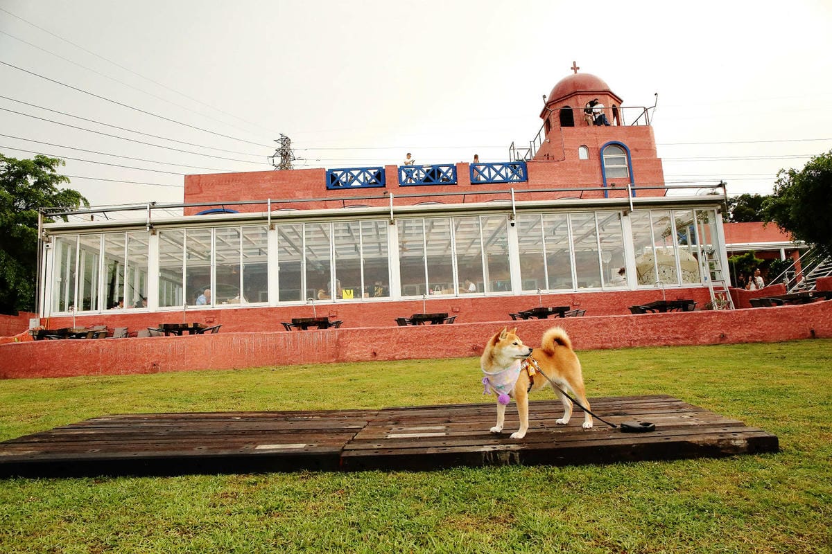 空ㄟ咖啡新竹店，湖口最新景觀餐廳，異國風百萬夜景、室外超大草