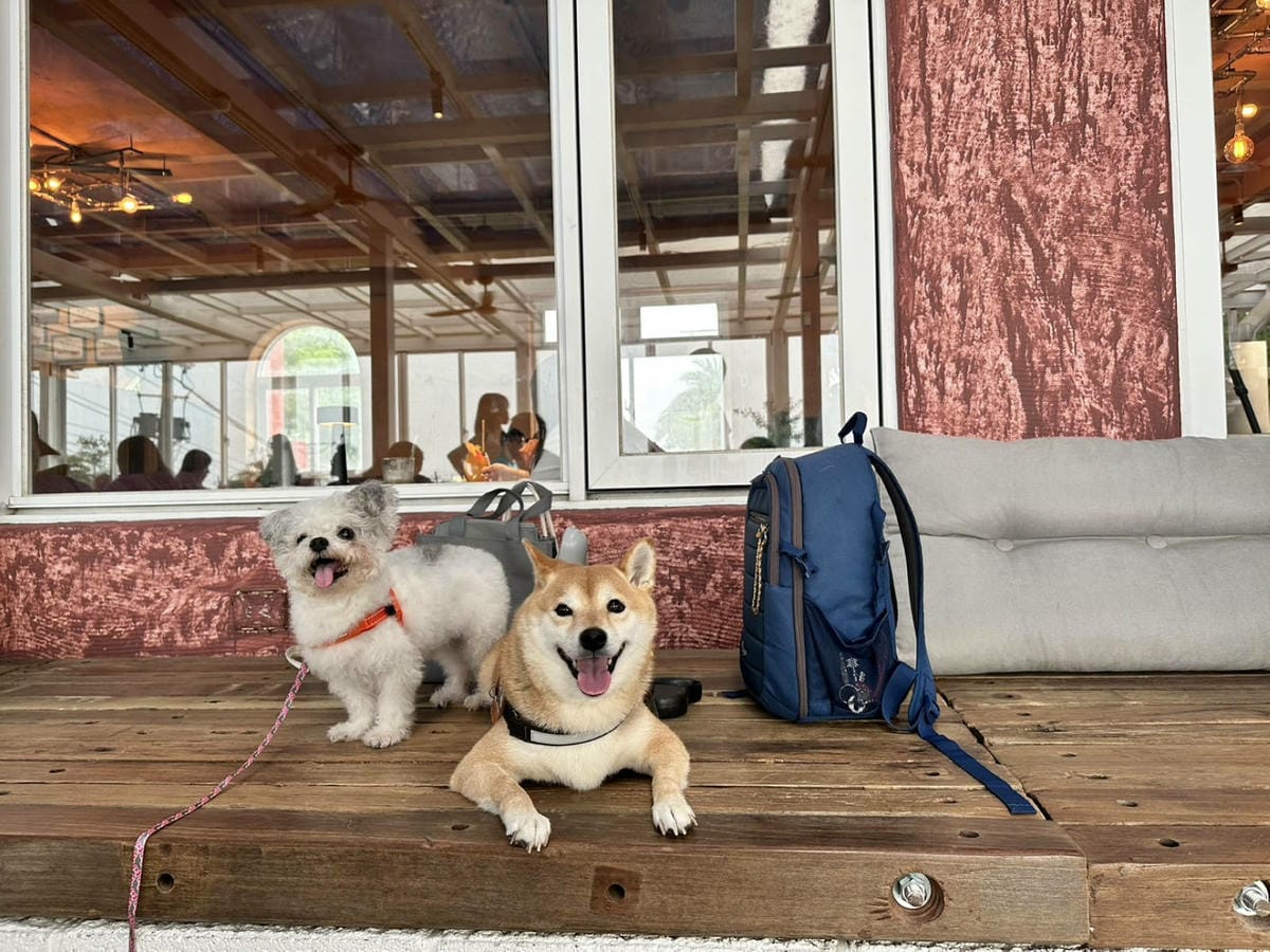 空ㄟ咖啡新竹店，湖口最新景觀餐廳，異國風百萬夜景、室外超大草