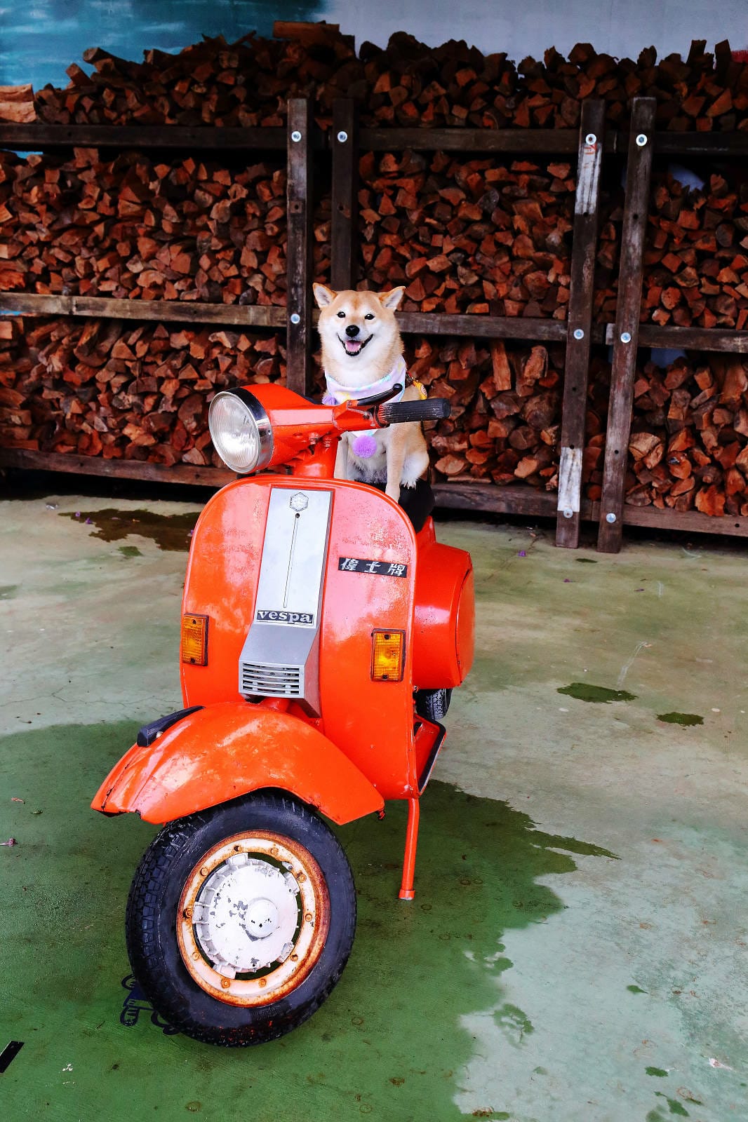 空ㄟ咖啡新竹店，湖口最新景觀餐廳，異國風百萬夜景、室外超大草