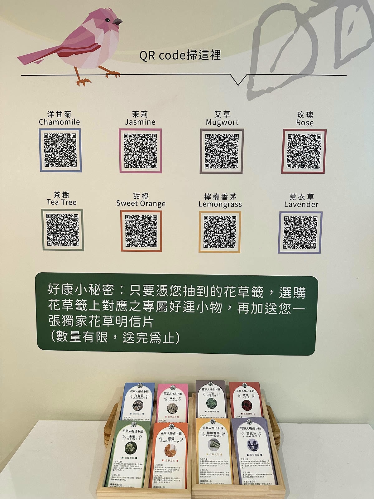 【赫蒂法莊園】2024大東北角觀光圈【綠色永續文化之旅】,愛