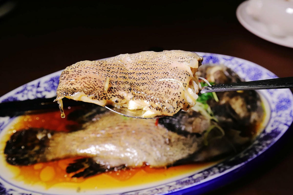 新竹婚宴推薦!伊薇儷婚宴會館,婚禮場地、一站式的婚禮策劃服務 新竹婚宴推薦!伊薇儷婚宴會館,婚禮場地、一站式的婚禮策劃服務