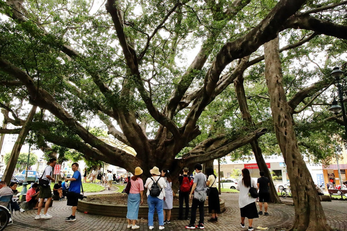 新開幕!!福瑞堂【歷史建築南投稅務出張所】,新台菜創意料理、