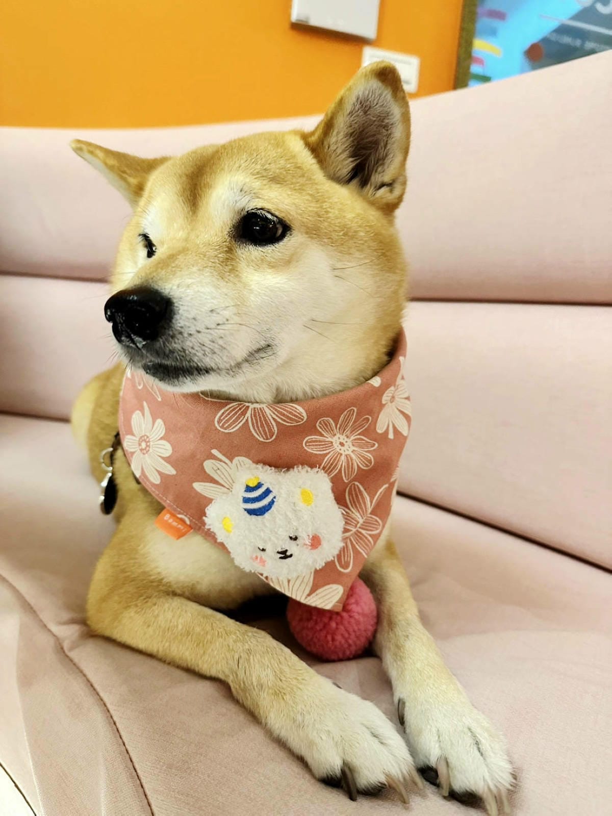 基隆隱藏版美食【習慣這家Café】基隆巷弄網美咖啡廳,超粉嫩 基隆隱藏版美食【習慣這家Café】基隆巷弄網美咖啡廳,超粉嫩