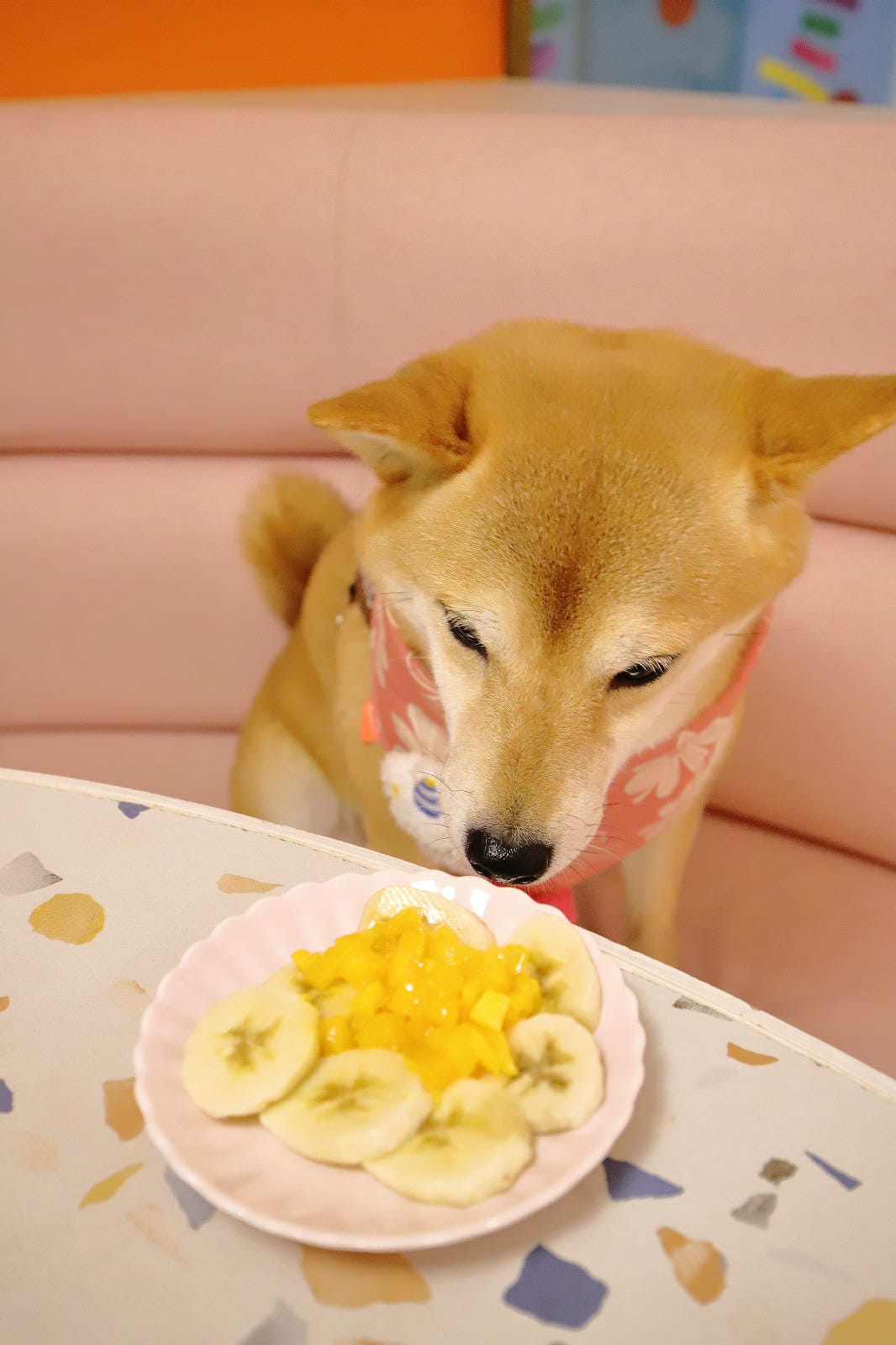 基隆隱藏版美食【習慣這家Café】基隆巷弄網美咖啡廳,超粉嫩 基隆隱藏版美食【習慣這家Café】基隆巷弄網美咖啡廳,超粉嫩