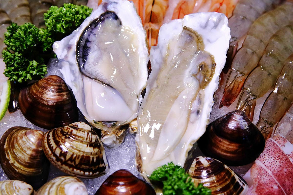 永和火鍋｜火鍋控必收藏！樂野鍋物，CP值超高的海陸雙人套餐超