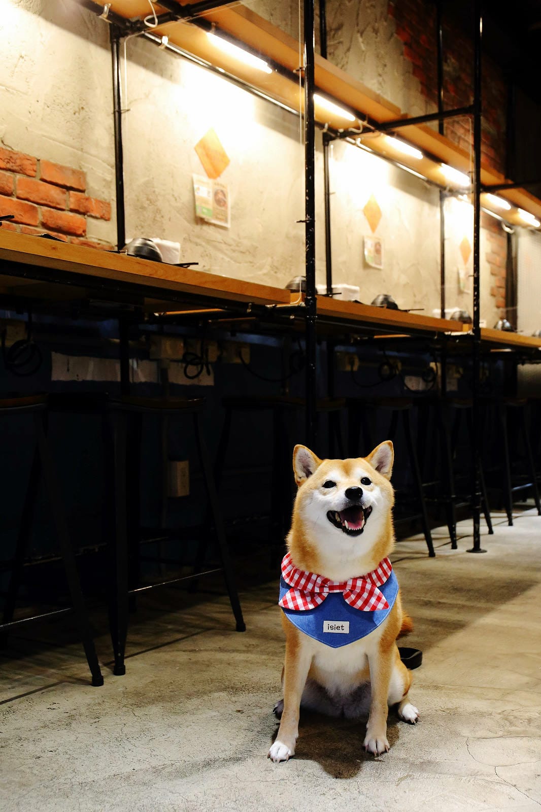 永和火鍋｜火鍋控必收藏！樂野鍋物，CP值超高的海陸雙人套餐超