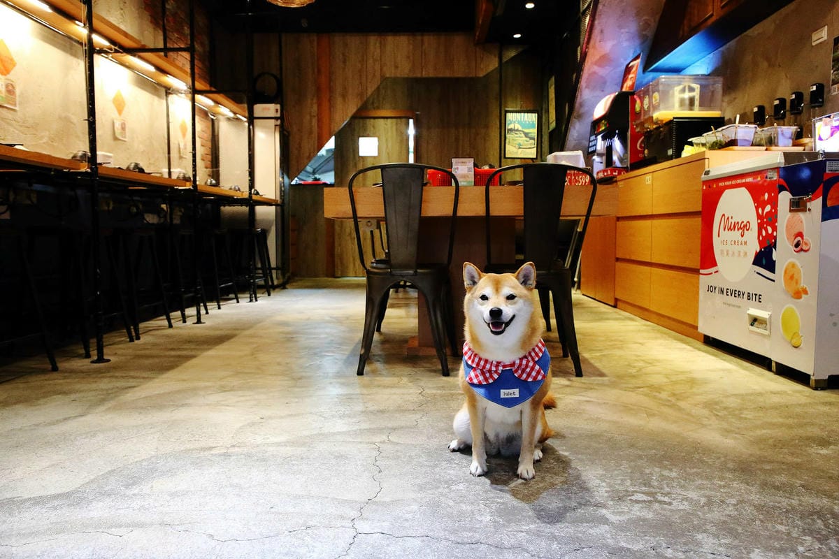 永和火鍋｜火鍋控必收藏！樂野鍋物，CP值超高的海陸雙人套餐超