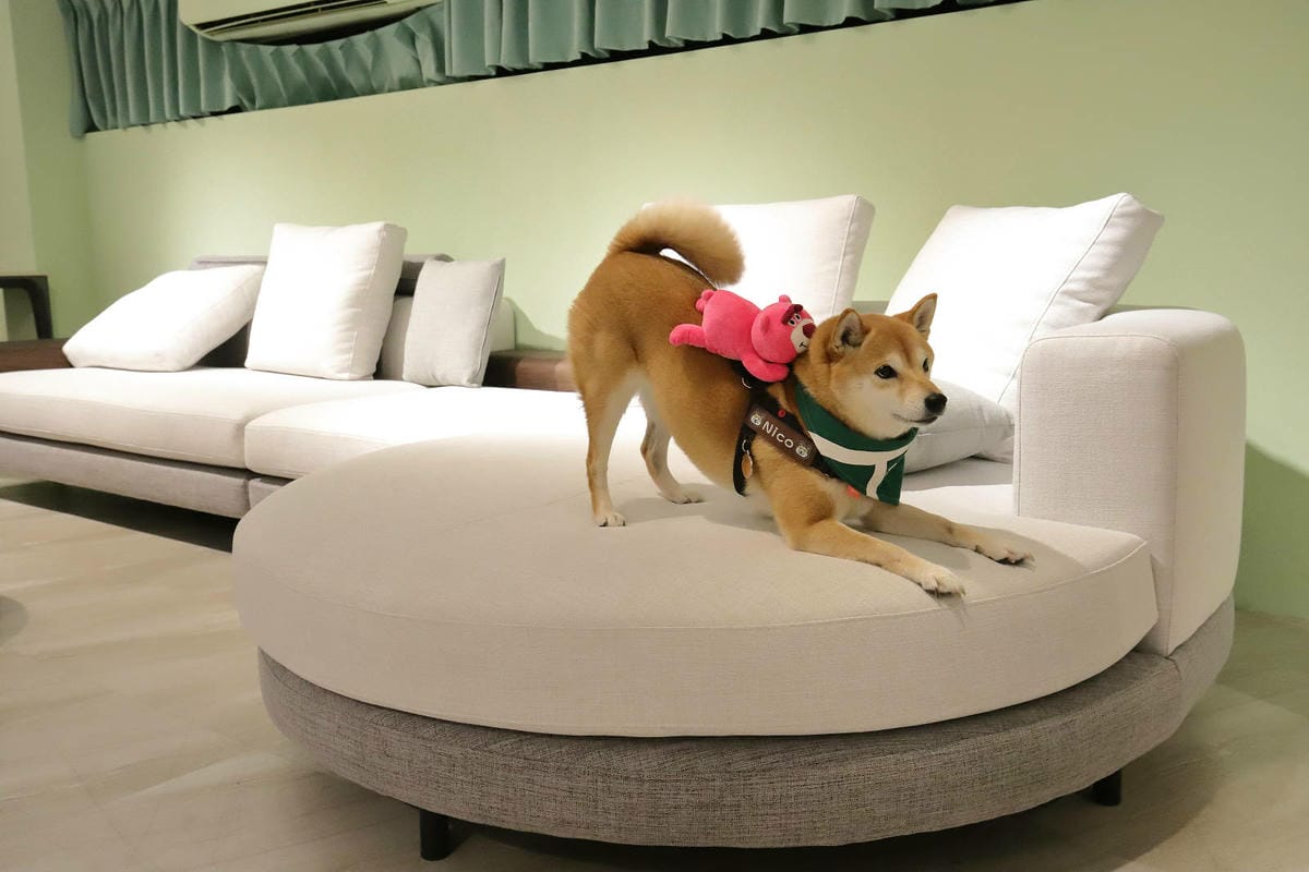 【新北沙發推薦】沙發先生家居，最棒的新北沙發體驗都在這！全台