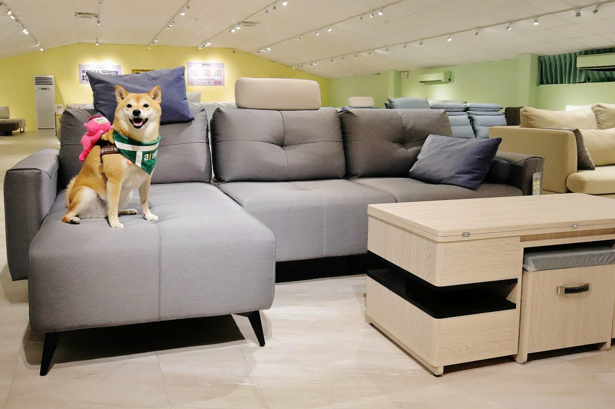 【新北沙發推薦】沙發先生家居，最棒的新北沙發體驗都在這！全台