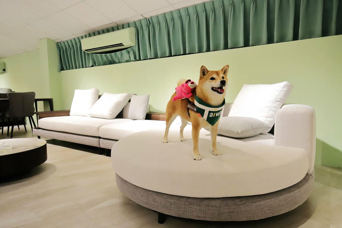 【新北沙發推薦】沙發先生家居，最棒的新北沙發體驗都在這！全台