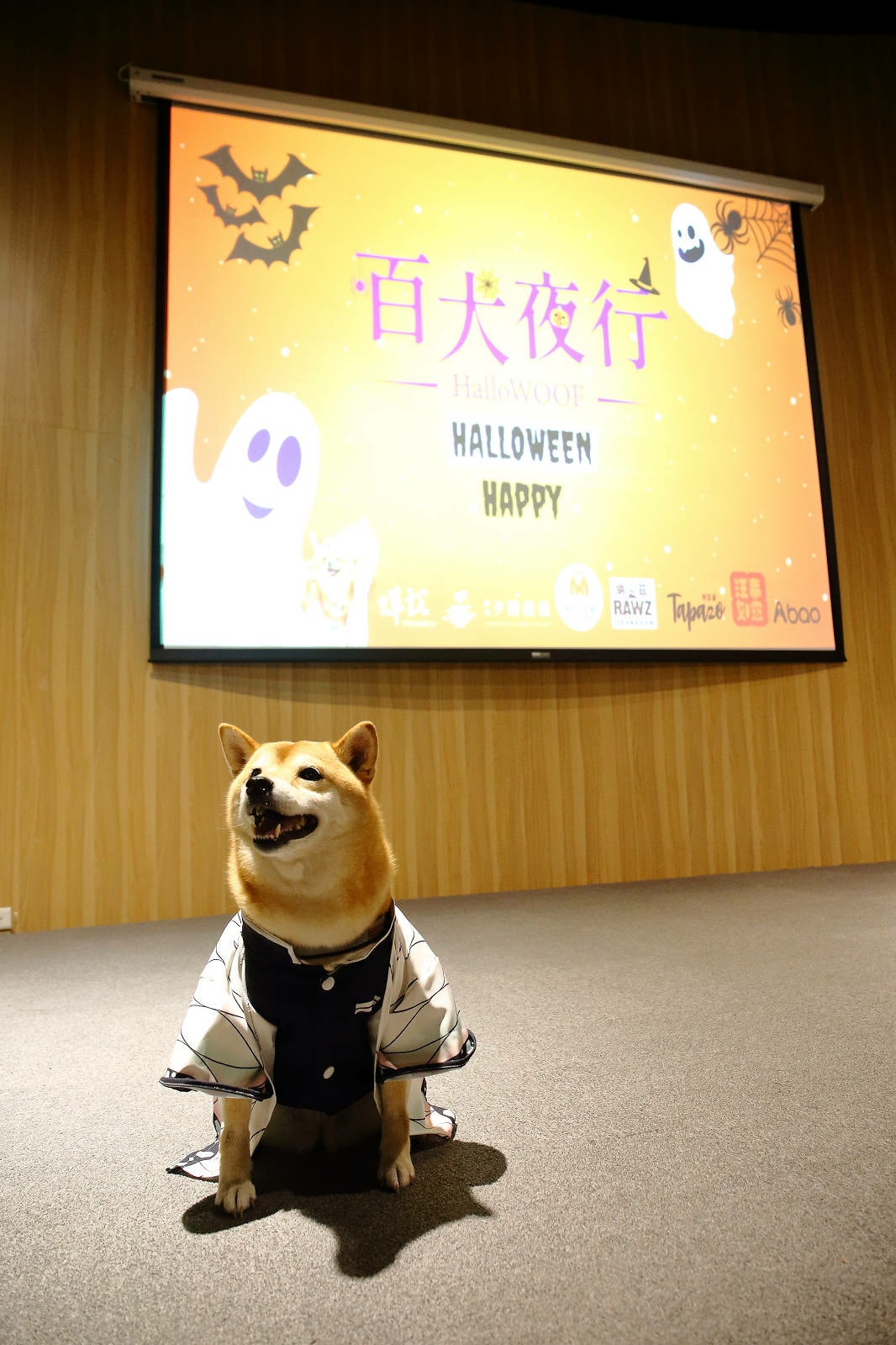 【蟬說:夕陽漫漫】台中獨家毛孩萬聖節露營派對〜百犬夜行-Ha