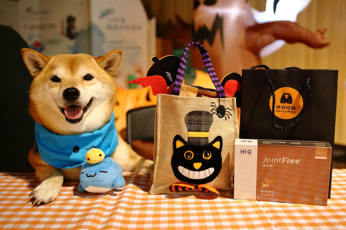 【蟬說:夕陽漫漫】台中獨家毛孩萬聖節露營派對〜百犬夜行-Ha