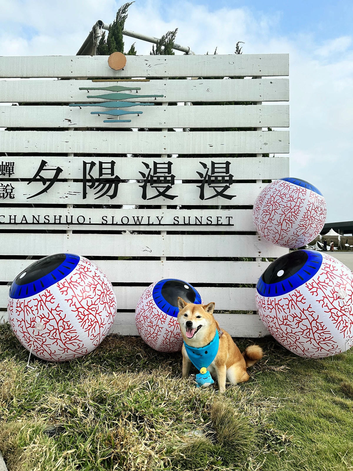 【蟬說:夕陽漫漫】台中獨家毛孩萬聖節露營派對〜百犬夜行-Ha