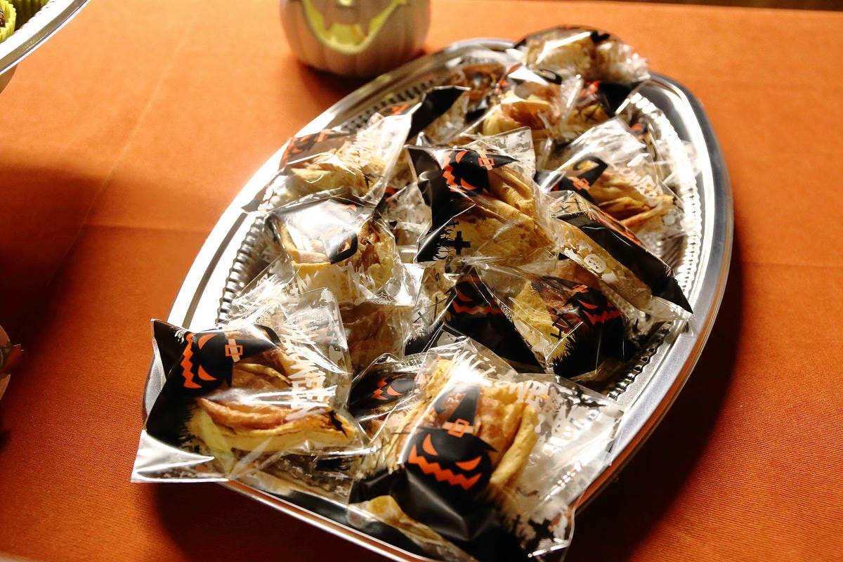 【蟬說:夕陽漫漫】台中獨家毛孩萬聖節露營派對〜百犬夜行-Ha