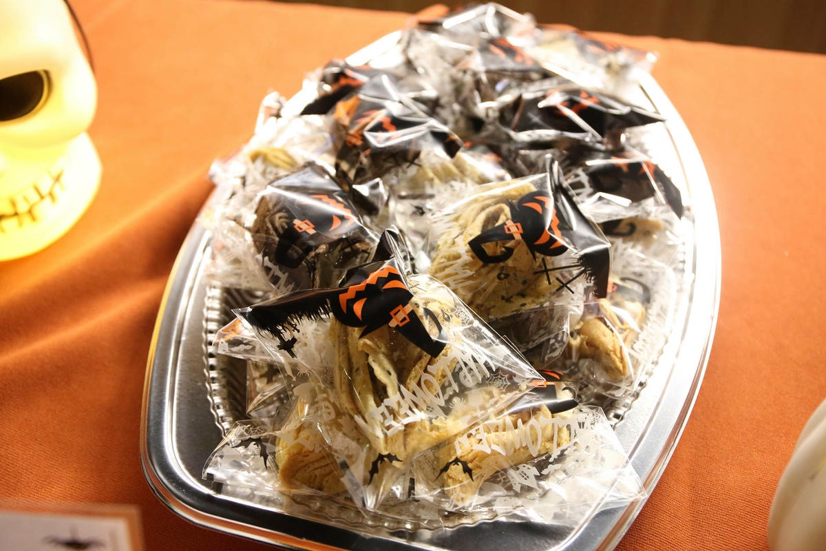 【蟬說:夕陽漫漫】台中獨家毛孩萬聖節露營派對〜百犬夜行-Ha