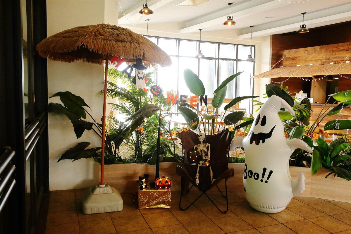 【蟬說:夕陽漫漫】台中獨家毛孩萬聖節露營派對〜百犬夜行-Ha