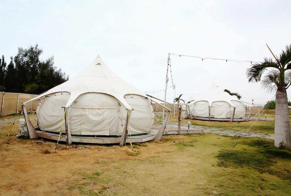 【蟬說:夕陽漫漫】台中獨家毛孩萬聖節露營派對〜百犬夜行-Ha