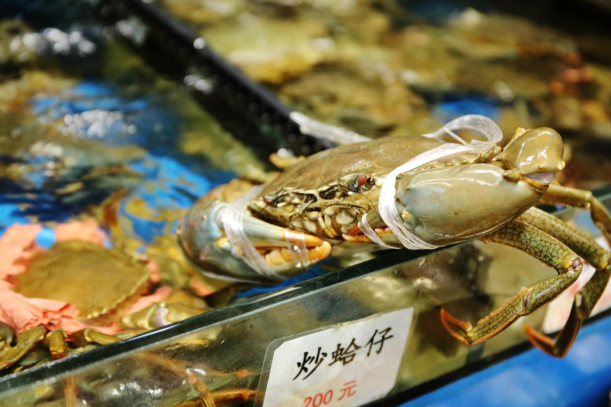 【梧棲漁港海鮮餐廳推薦】鹿港平價海鮮,代客料理價格親民,海鮮