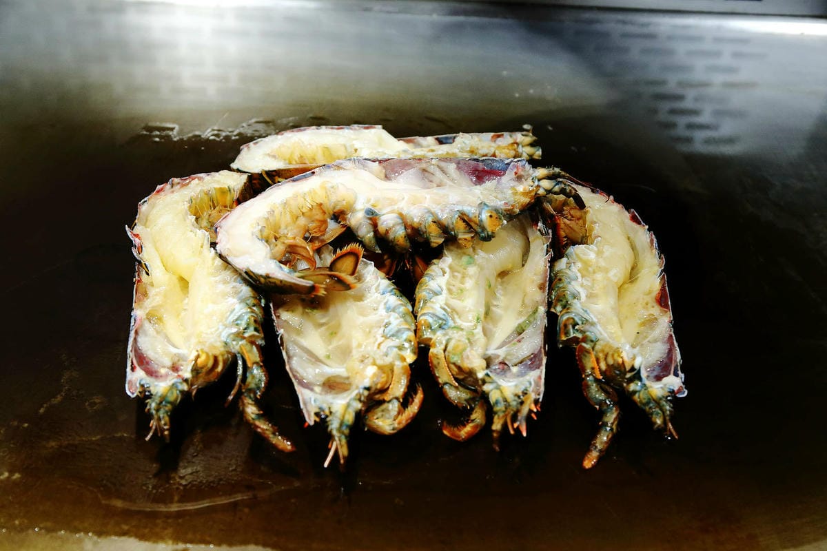 Google 評論4.8高分，無菜單鐵板燒 近在林口，人氣套