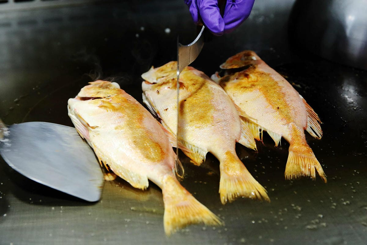 Google 評論4.8高分，無菜單鐵板燒 近在林口，人氣套