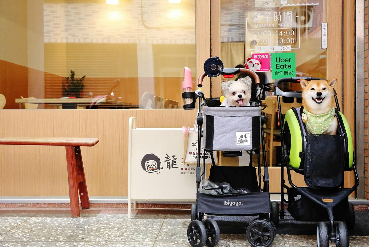 淡水平價丼飯、日式炸天婦羅推薦!隱藏版超人氣浮誇丼飯!19種