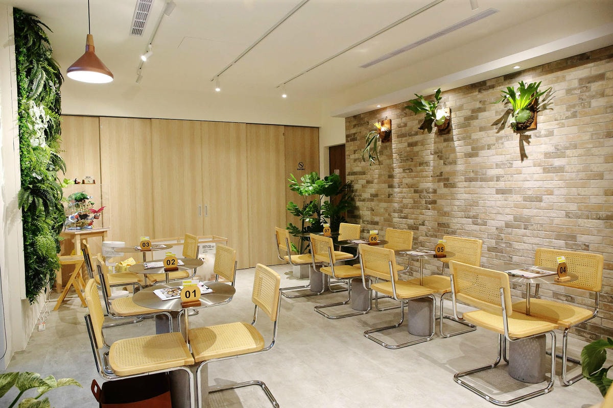 【新開幕】八德寵物友善餐廳推薦!三十好食,大湳森林公園附近, 【新開幕】八德寵物友善餐廳推薦!三十好食,大湳森林公園附近,